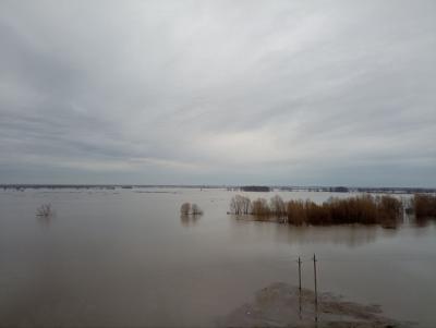 Уровень воды в Оке в Рязани понизился до 269 сантиметров